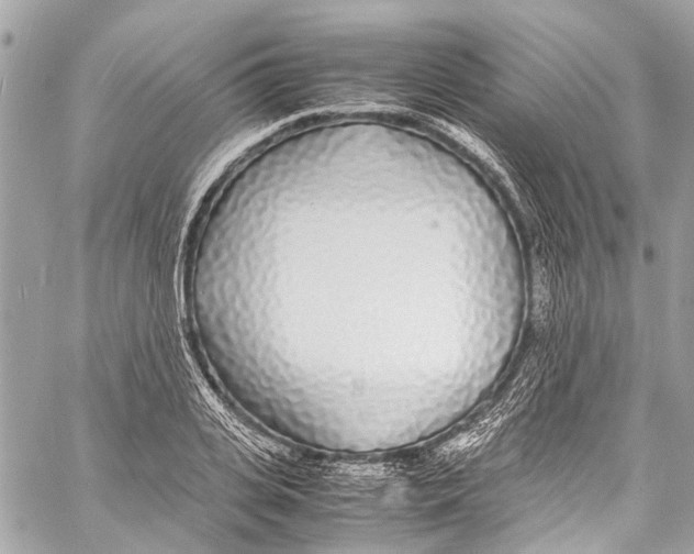 X0000058110935200510211457