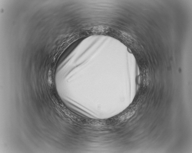 X0000058110962200510211457