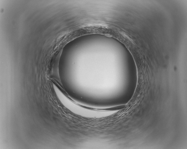 X0000058110965200510211457