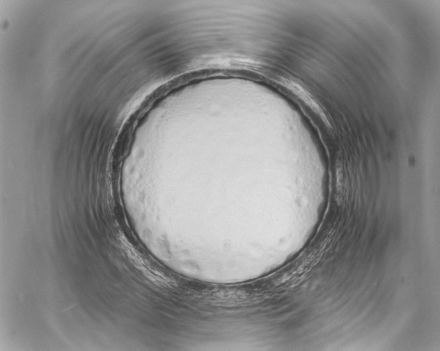 X0000058110972200510211457