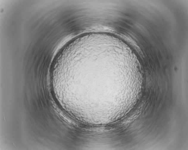 X0000058110990200510211456