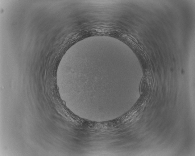 X0000058111009200510211455