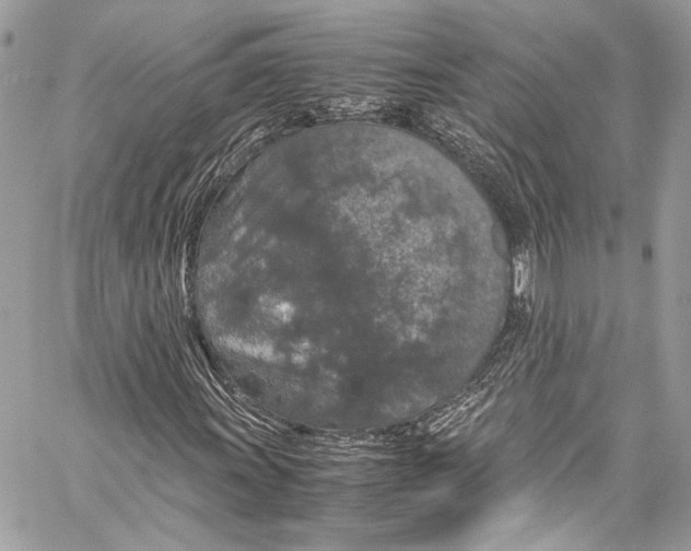 X0000058111011200510211455