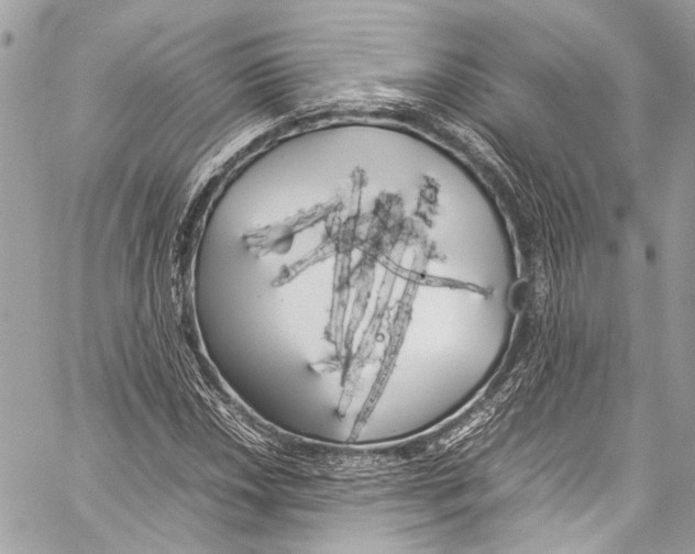 X0000058111018200510211455