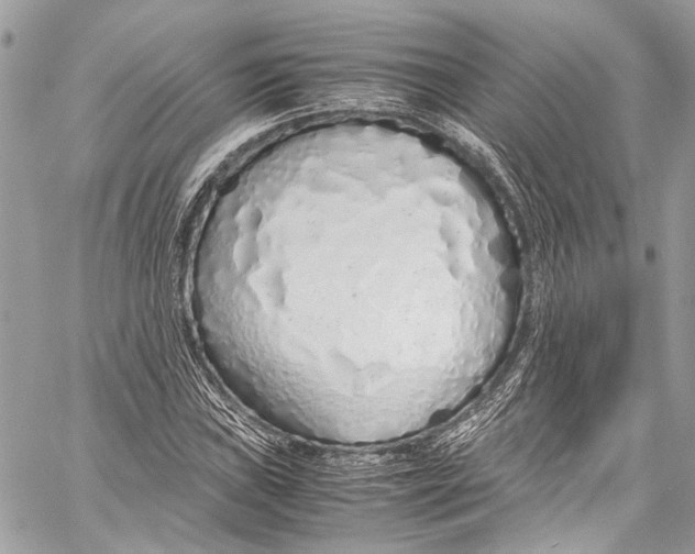 X0000058111019200510211455