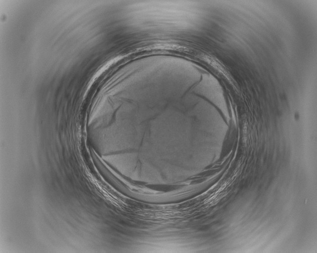 X0000058111024200510211455