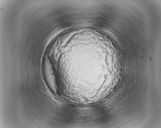 X0000058111031200510211456