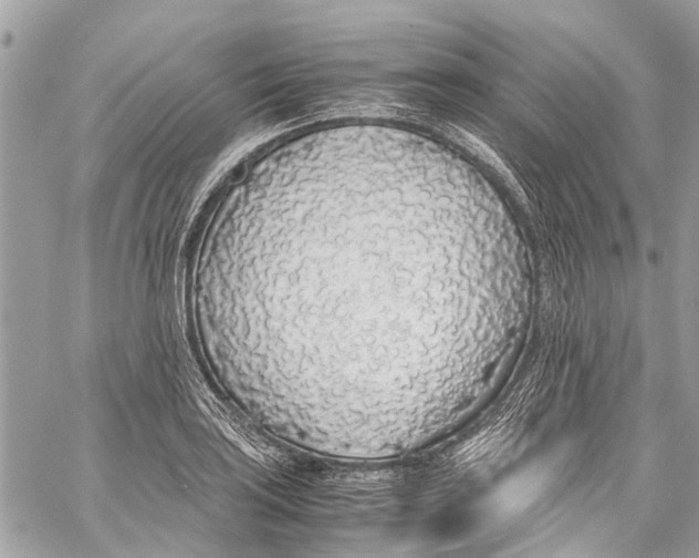 X0000058111035200510211456