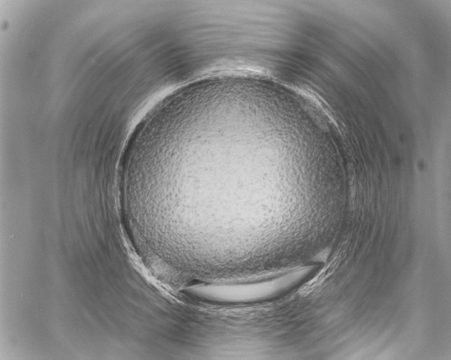 X0000058111038200510211456