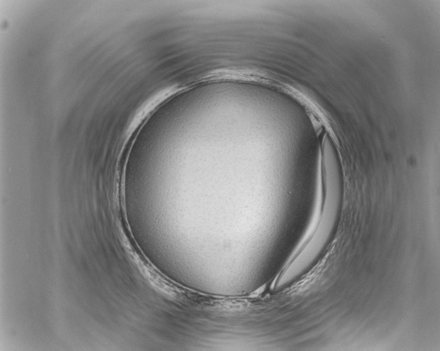 X0000058111050200510211456