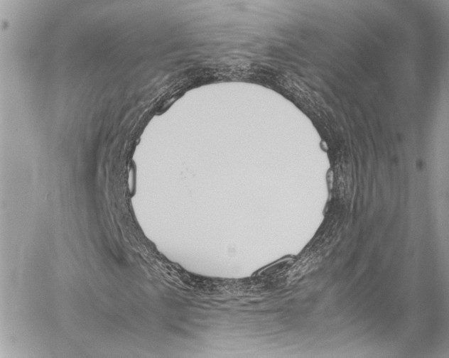 X0000058111057200510211455