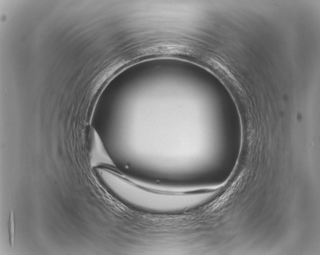 X0000058111081200510211455
