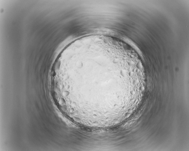 X0000058111099200510211454