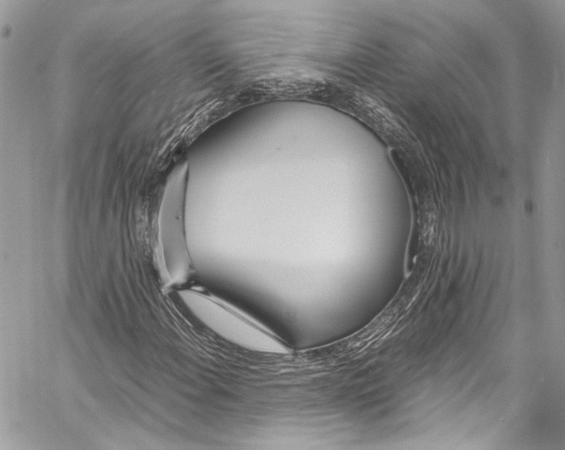 X0000058111108200510211454