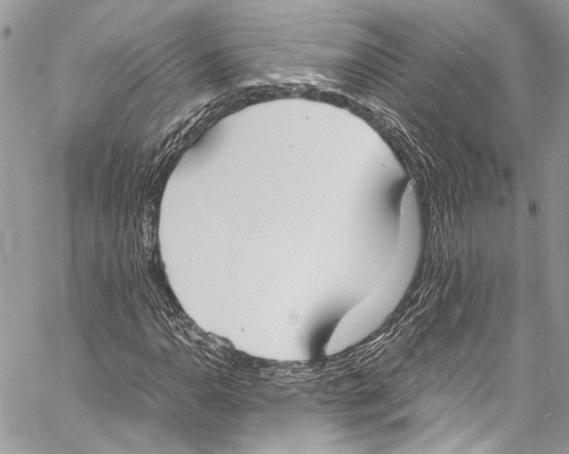 X0000058111110200510211454