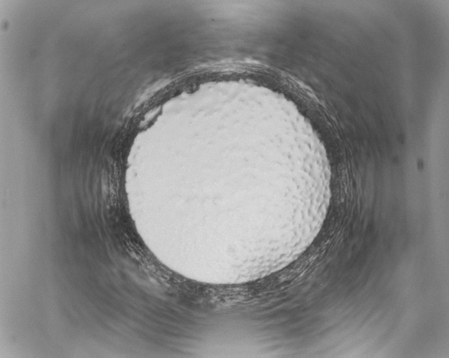 X0000058111158200510211454