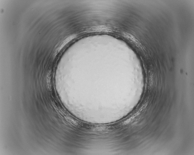 X0000058111162200510211453