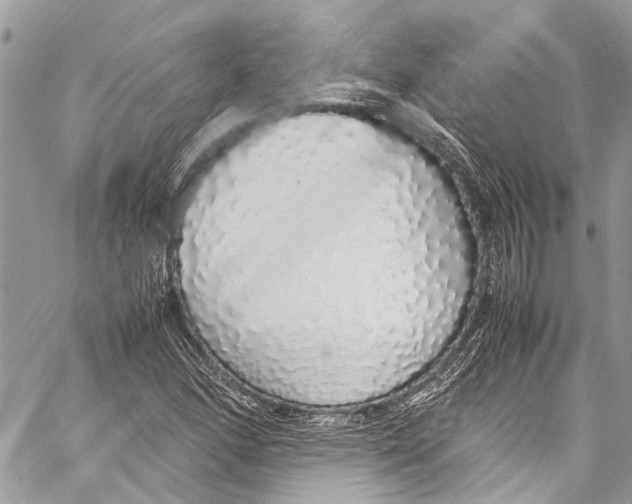 X0000058111166200510211453