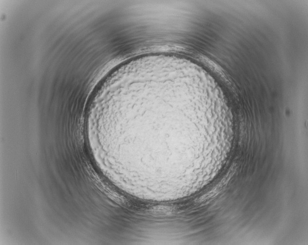 X0000058111178200510211453