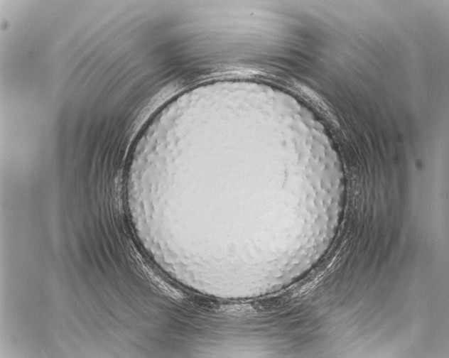 X0000058111186200510211453