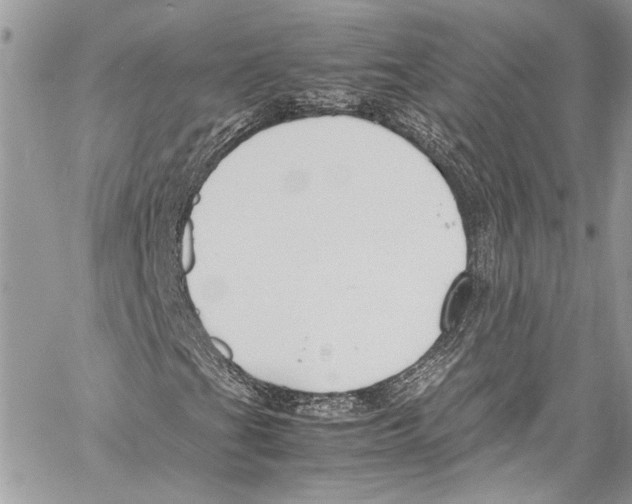 X0000058111201200510211452