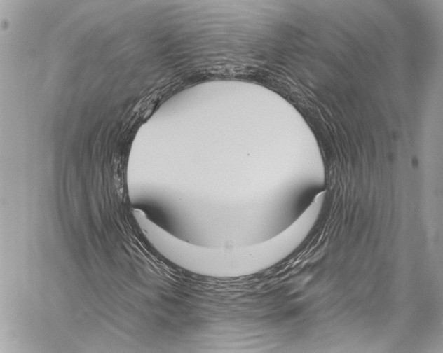 X0000058111202200510211452