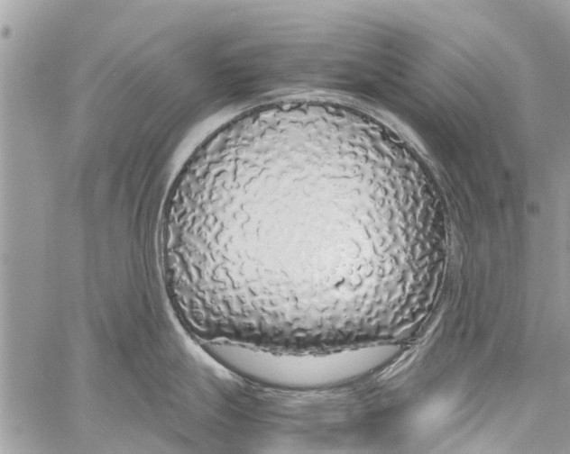 X0000058111247200510211453