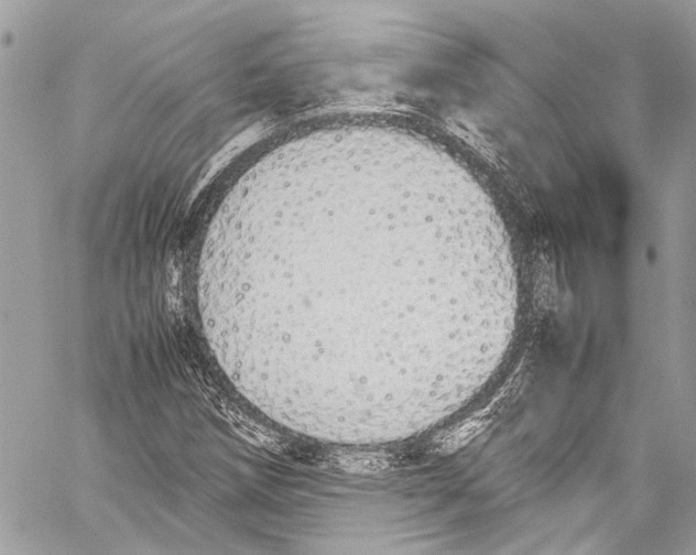 X0000058111258200510211452