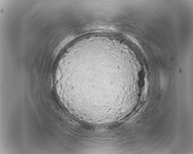 X0000058111267200510211452