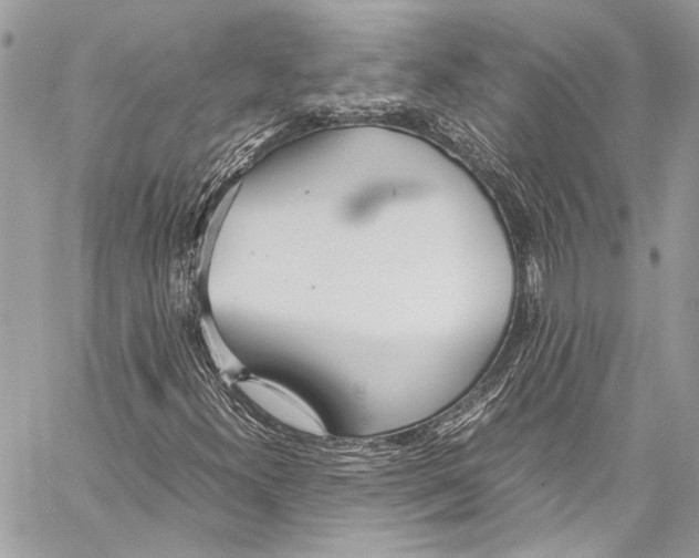 X0000058111300200510211451