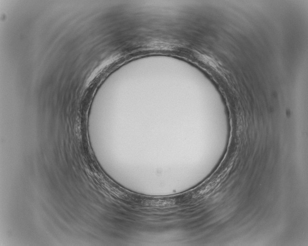X0000058111307200510211451