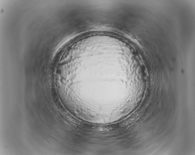 X0000058111311200510211451