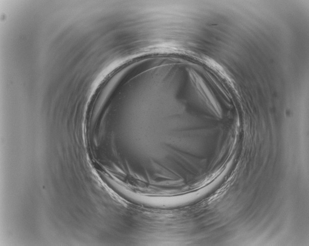 X0000058111334200510211451