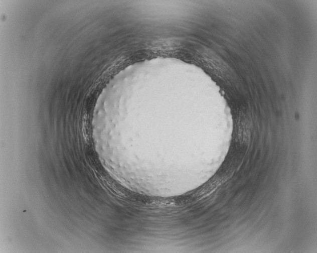 X0000058111346200510211450