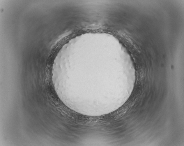 X0000058111350200510211450