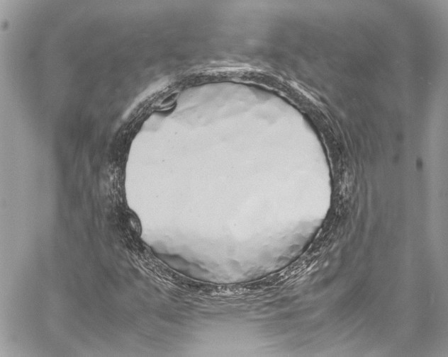 X0000058111351200510211450