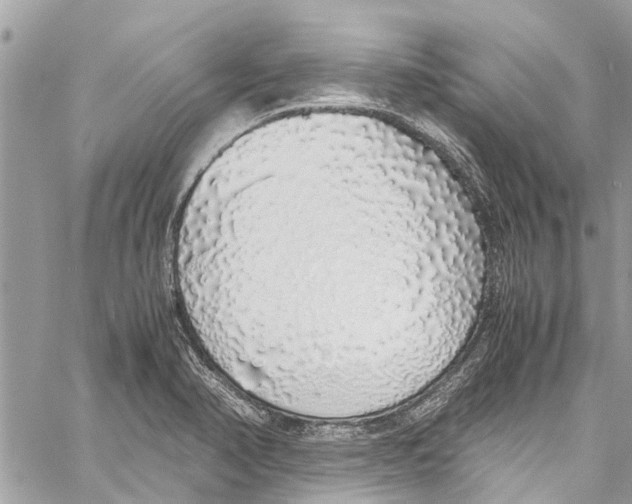 X0000058111374200510211450