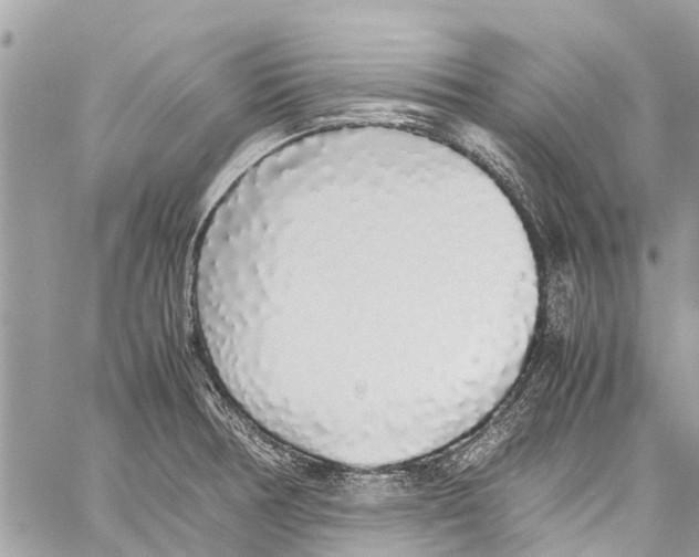X0000058111378200510211450
