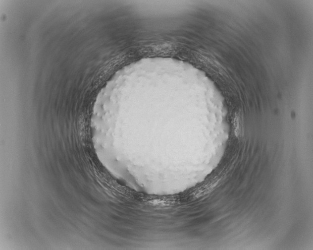 X0000058111395200510211449