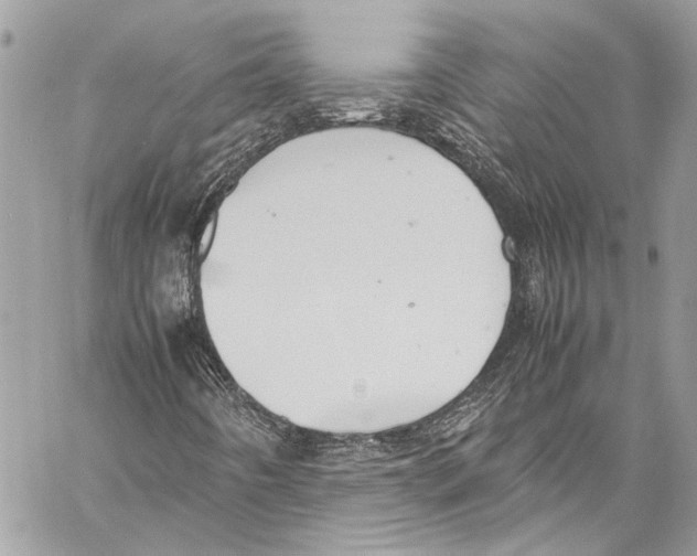 X0000058111442200510211449