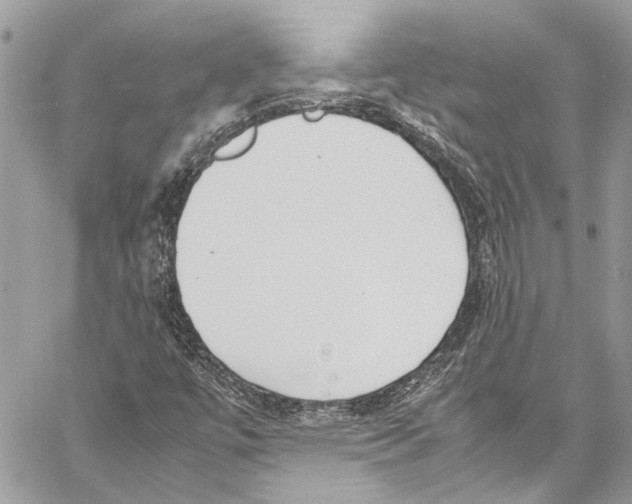 X0000058111447200510211449