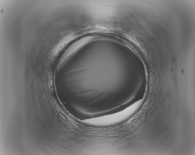 X0000058111455200510211449