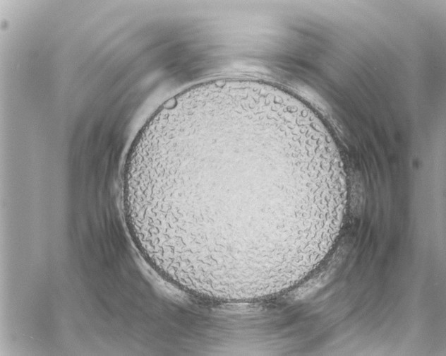 X0000058111478200510211448
