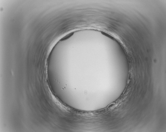 X0000058111524200510211448