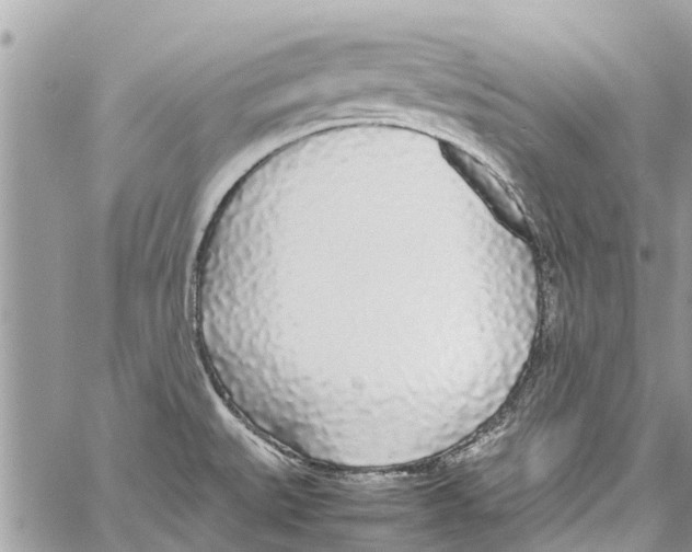 X0000058111527200510211448