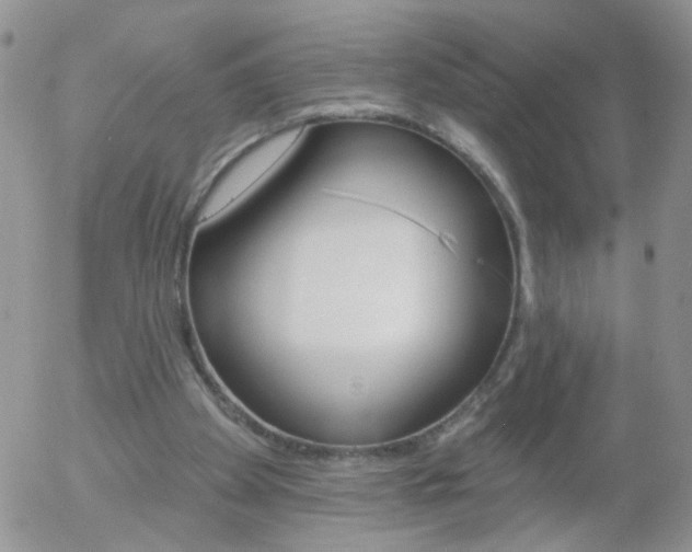 X0000058120105200509230806