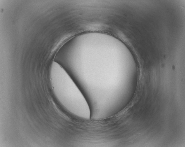X0000058120106200509230806