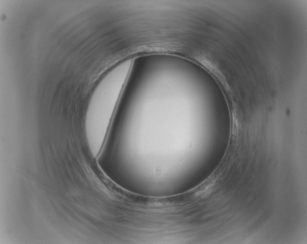 X0000058120109200509230806