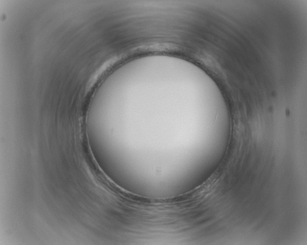 X0000058120111200509230806