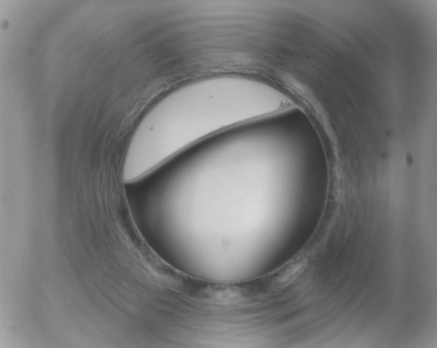 X0000058120113200509230806